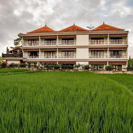 Paon Desa Ubud Eksteriør bilde