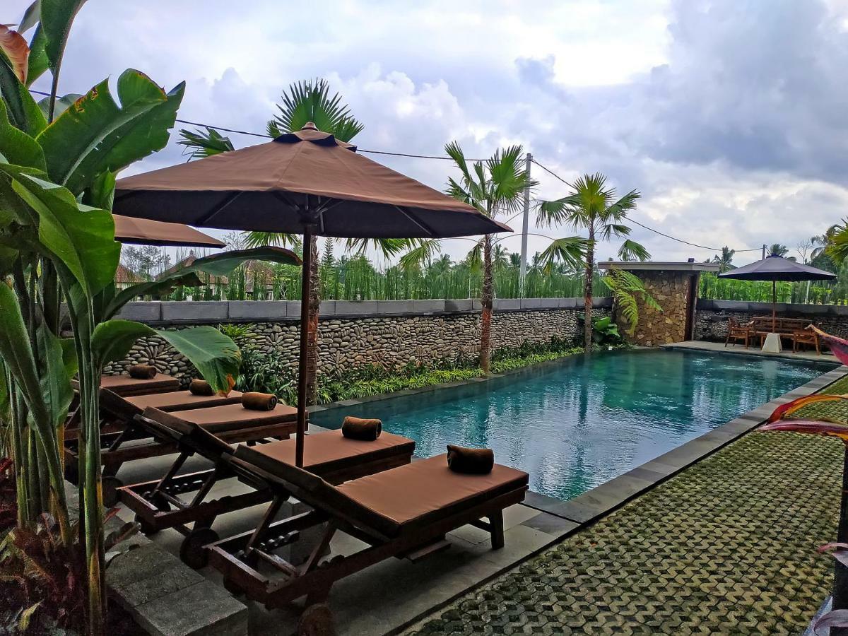 Paon Desa Ubud Eksteriør bilde