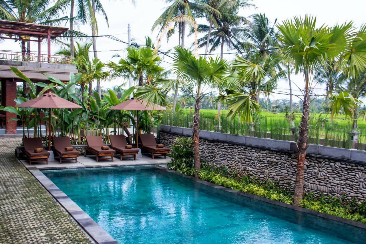 Paon Desa Ubud Eksteriør bilde